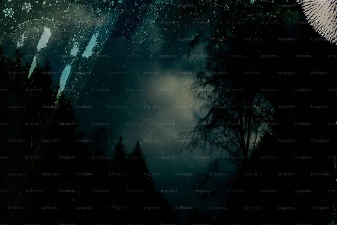 《锦月如歌》月亮指的是谁？